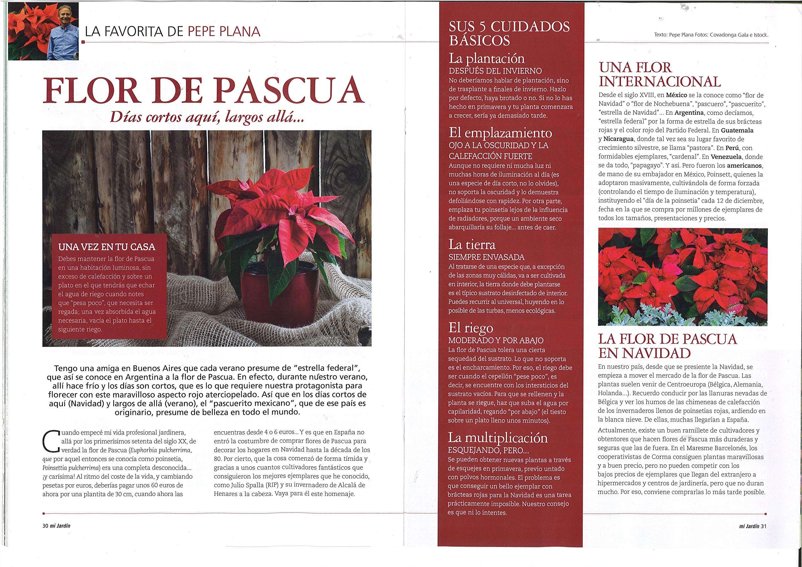 Amazon.es: El Rincon de las revistas: Ocio