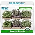 Back to the Roots DIY Microgreen Grow Kit, 6-Grow Variety Pack