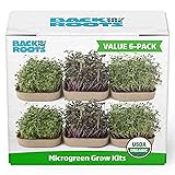 Back to the Roots DIY Microgreen Grow Kit, 6-Grow