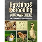 Hatching & Brooding Your Own Chicks: Chickens, Turkeys, Ducks, Geese, Guinea Fowl
