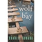 The Wolf at Bay: A Gay Cold Case Romantic Suspense (Big Bad Wolf Book 2)