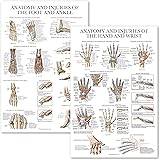 Palace Learning 2 Pack - Anatomy and Injuries of the Hand & Wrist + Anatomy and Injuries of the Foot & Ankle - Set of 2 Anato