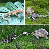 toymany 12PC Reptile Animal Figurines Set Cold Blooded Amphibians Jungle Lizard view 9
