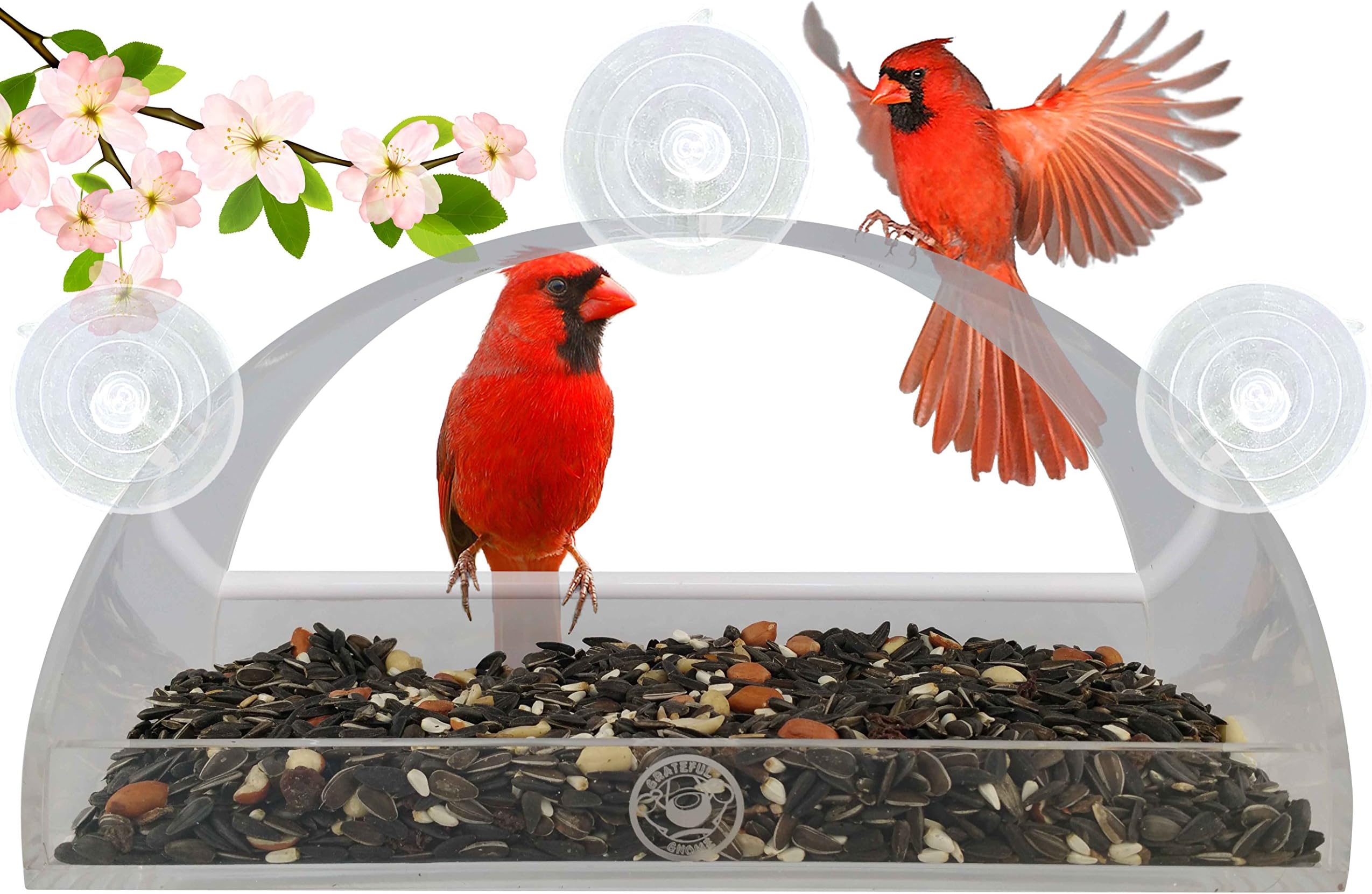 Grateful Gnome - Large Window Bird Feeder - Rainbow Feeder