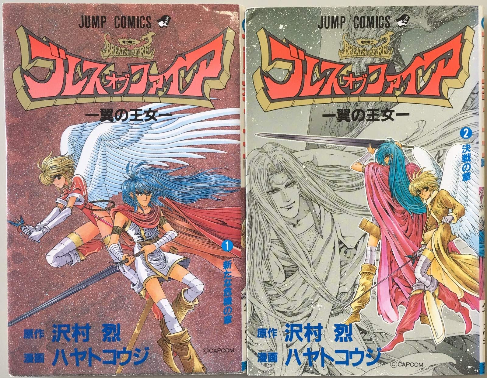 ブレスオブファイア 翼の王女 全2巻完結 マーケットプレイス コミックセット ハヤト コウジ 沢村 烈 本 通販 Amazon