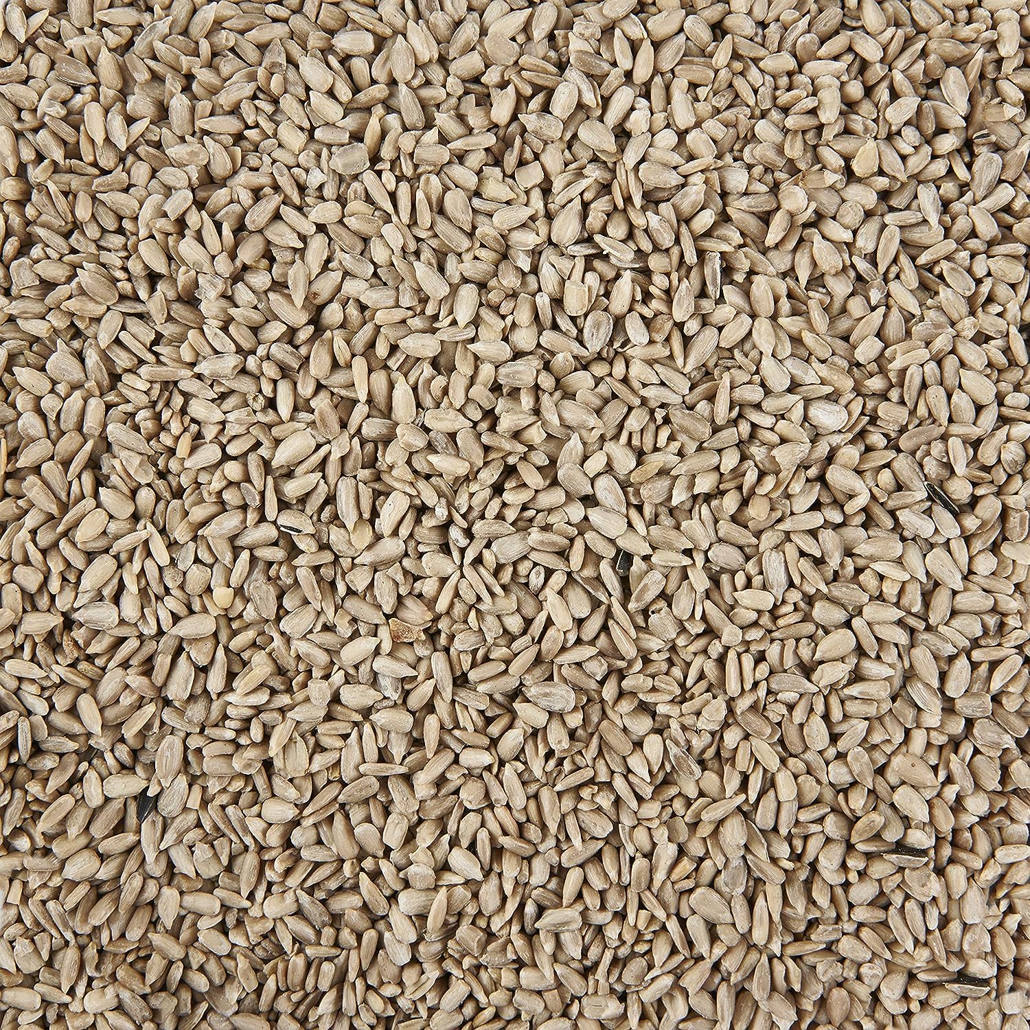 Garden Ting Sunflower Hearts 5L Refill