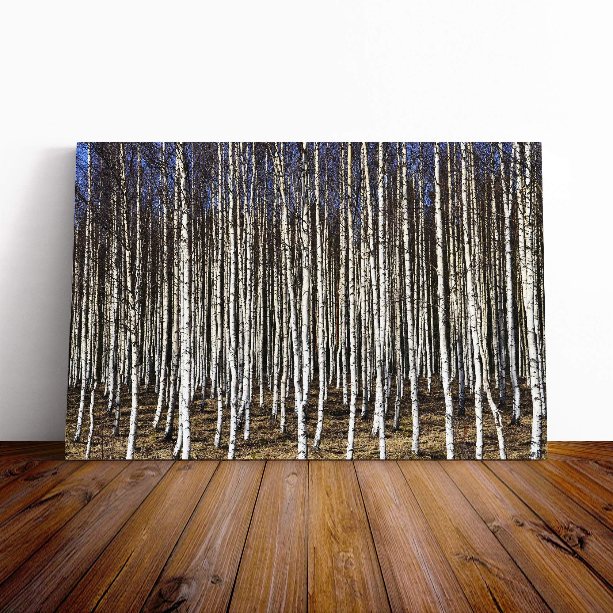 Landscape Birch Tree Forest (3) Canvas Print | Gallery Wrapped 30mm Frame Wall Art | 20x14 inches | Ready to Hang | Modern Landscape Picture | Living Room Bedroom Lounge Office