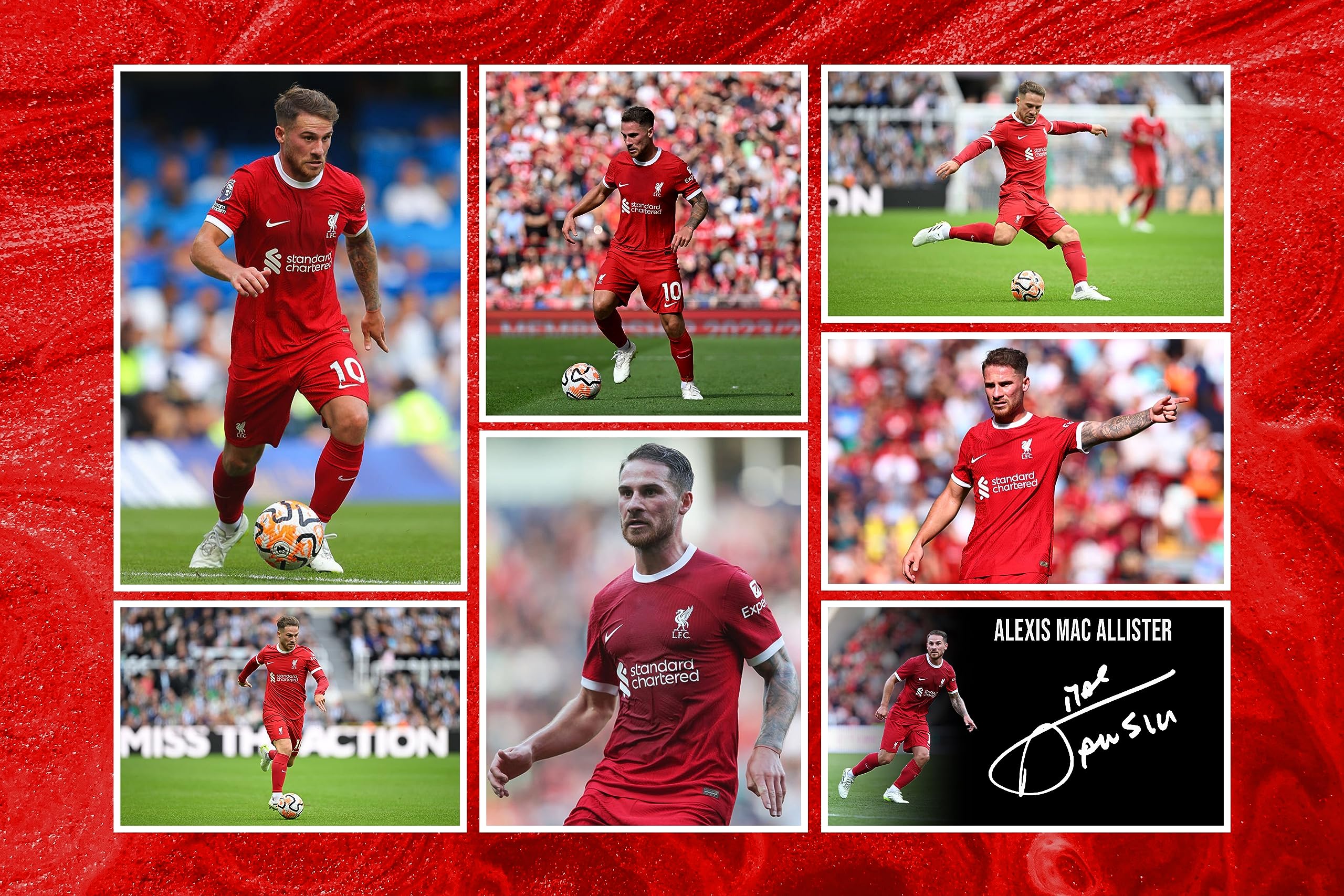RJR PRINTS Alexis Mac Allister - Liverpool Signed 12x8 Inch Montage Photo Print Pre Printed Signature Autograph Football Gift