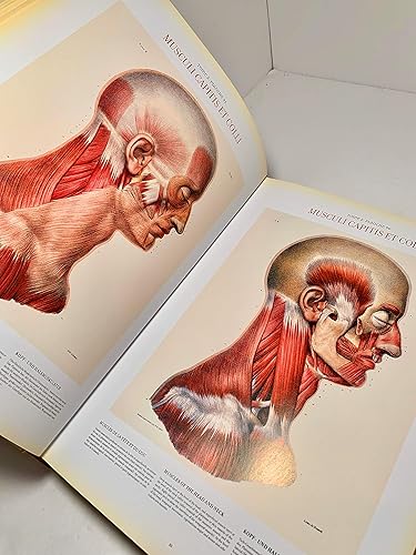 Atlas of Human Anatomy and Surgery: The Complete Coloured