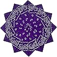 HankieWorld Bandanas 6 pack 12 pack 22 inch Cotton Paisley Kerchiefs for Men and Women