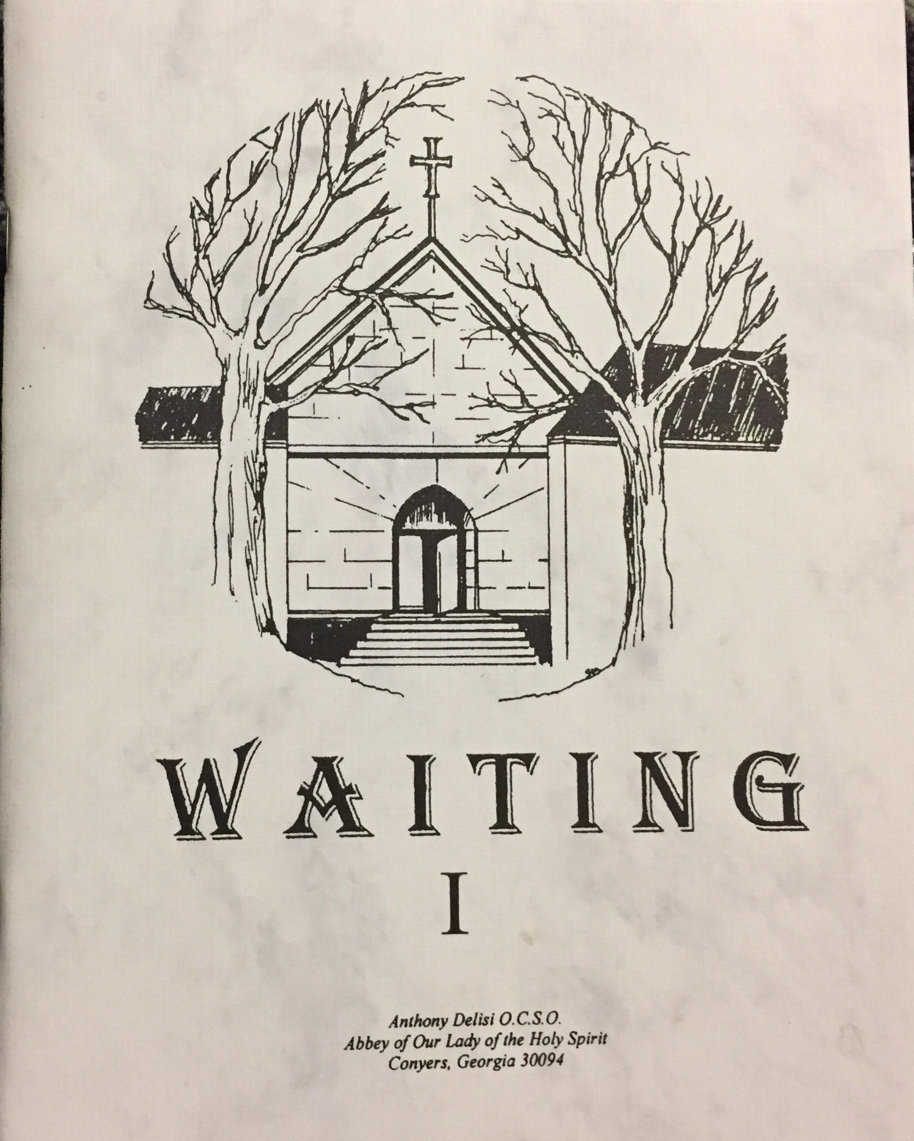 Waiting A Poem With Commentary Delisi Anthony Amazon Com Books
