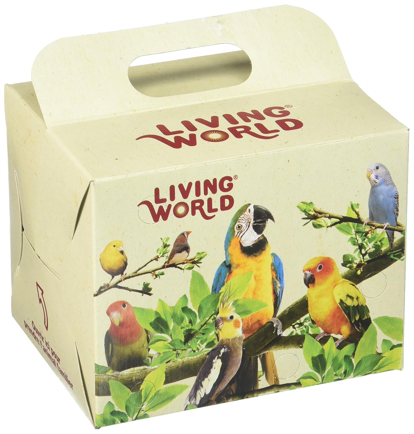 Buy Living World Bird Carrier Cardboard Box Online at Low Prices in
