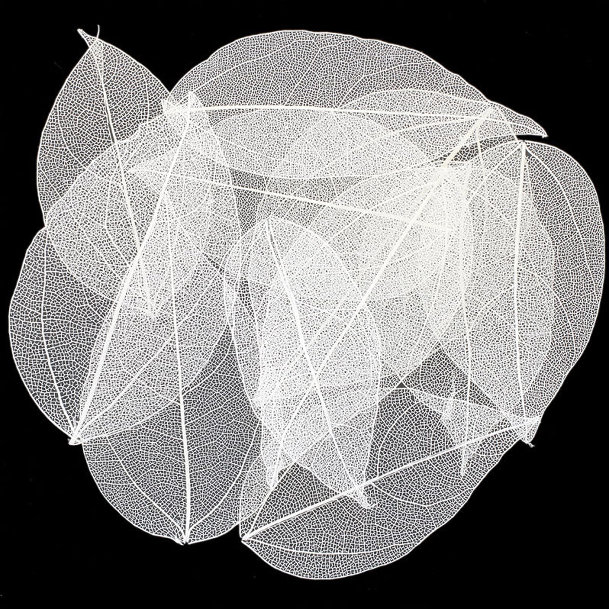 HAOBIN Pack of 50 Artificial Leaves Decorative Leaves Garland Craft Dry Leaves Dried Leaves Used for DIY Crafts Scrapbook Craft Card Making (White), A203DH0576