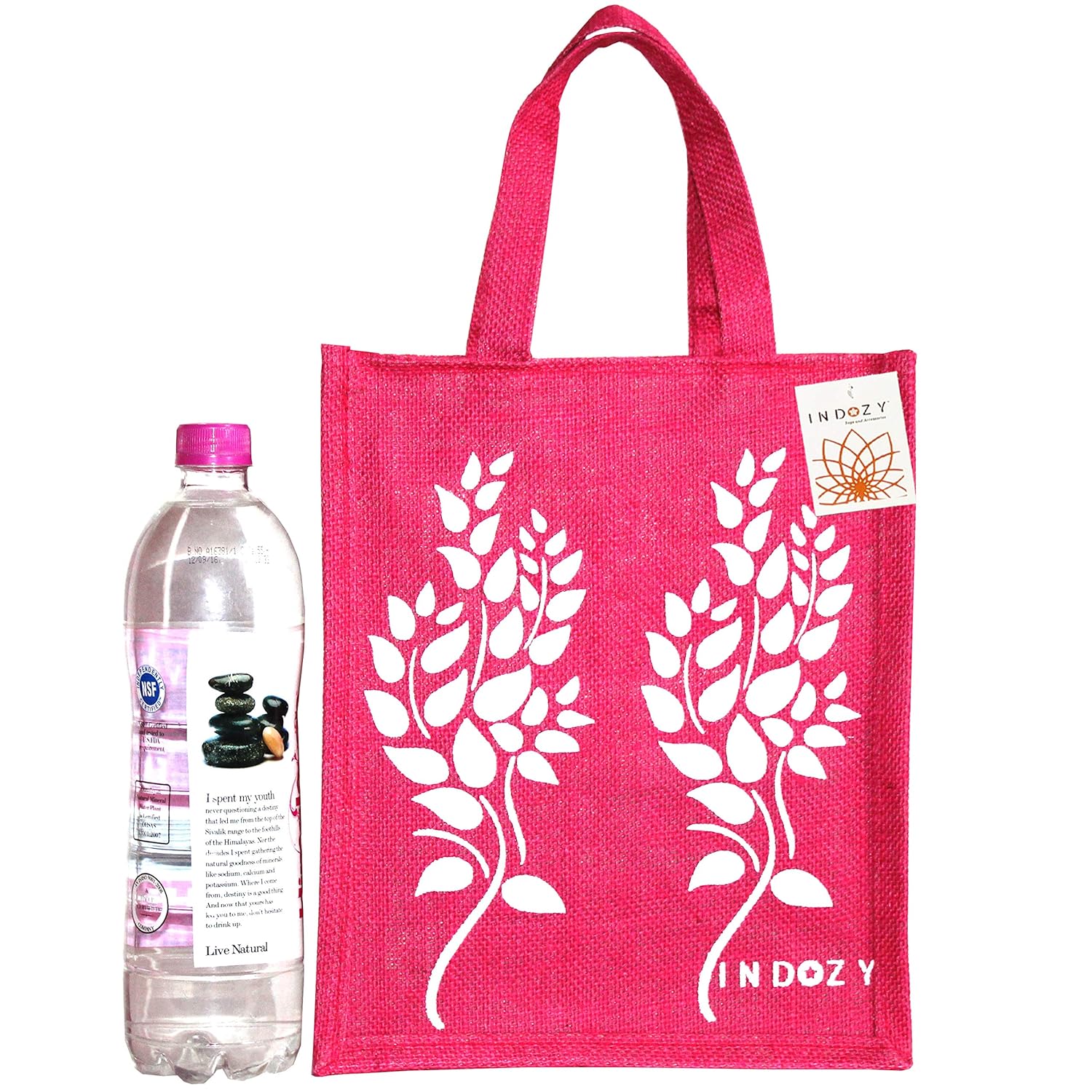 tiffin and bottle bag