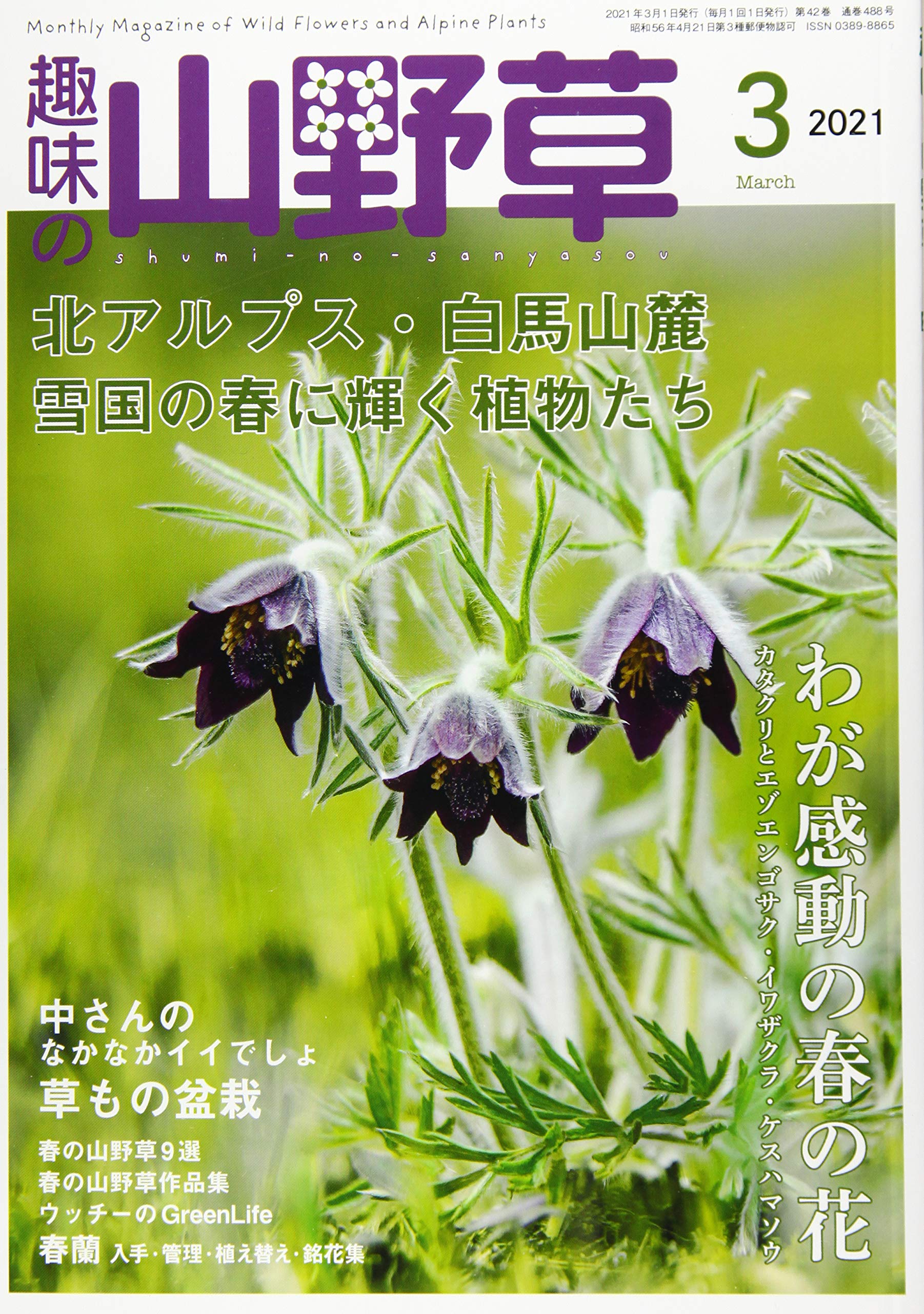 Amazon Com 趣味の山野草 21年 03 月号 雑誌 Libros