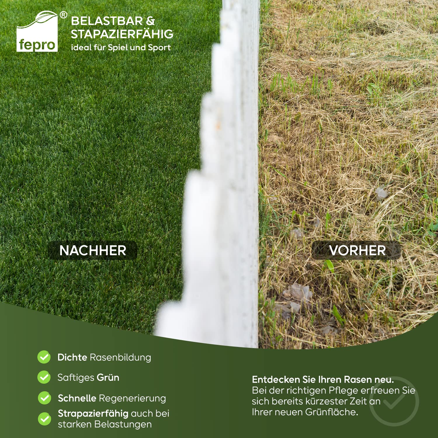 10kg Rasensamen Sport und Spiel schnellkeimend 400m², robust, tiefgrün, ideal für Neuansaat und Nachsaat, Rasensaat Grassamen Frühjahr 3