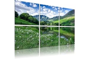 HIRESC 6 Pack Art Acoustic Panels Soundproof Wall Foam, 72X48 Inches Sound Absorbing Panels, Decorative Sound Blocker, Acoustic Treatment for Recording Studio, Adhesive Included, Green Landscape