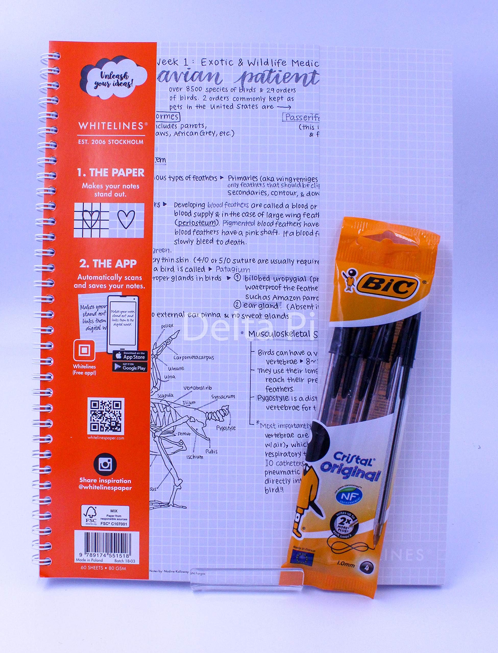 Whitelines Link A4 Squared Notebook 80gsm Paper (Multipack) with Pack 4 Black Bic Biros (Pack of 1 Book Plus 4 BIC)