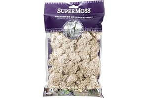 SuperMoss 7 59834 2, Natural, Super 21702 Reindeer Moss Preserved, 2oz, 80.75 Cubic inch (in3) Bag (Appx