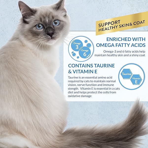 INABA CHURU LICKABLE PURÉE NATURAL CAT TREATS FOR SKIN AND COAT WITH OMEGA OILS, TAURINE AND VITAMIN E, 0.5 OUNCES EACH – CHICKEN RECIPE (4 TUBES)