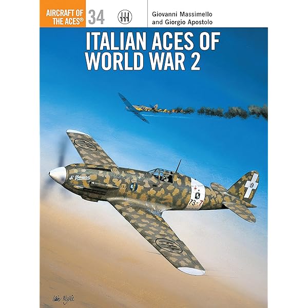 Hellcat Aces of World War 2 (Osprey Aircraft of the Aces No 10