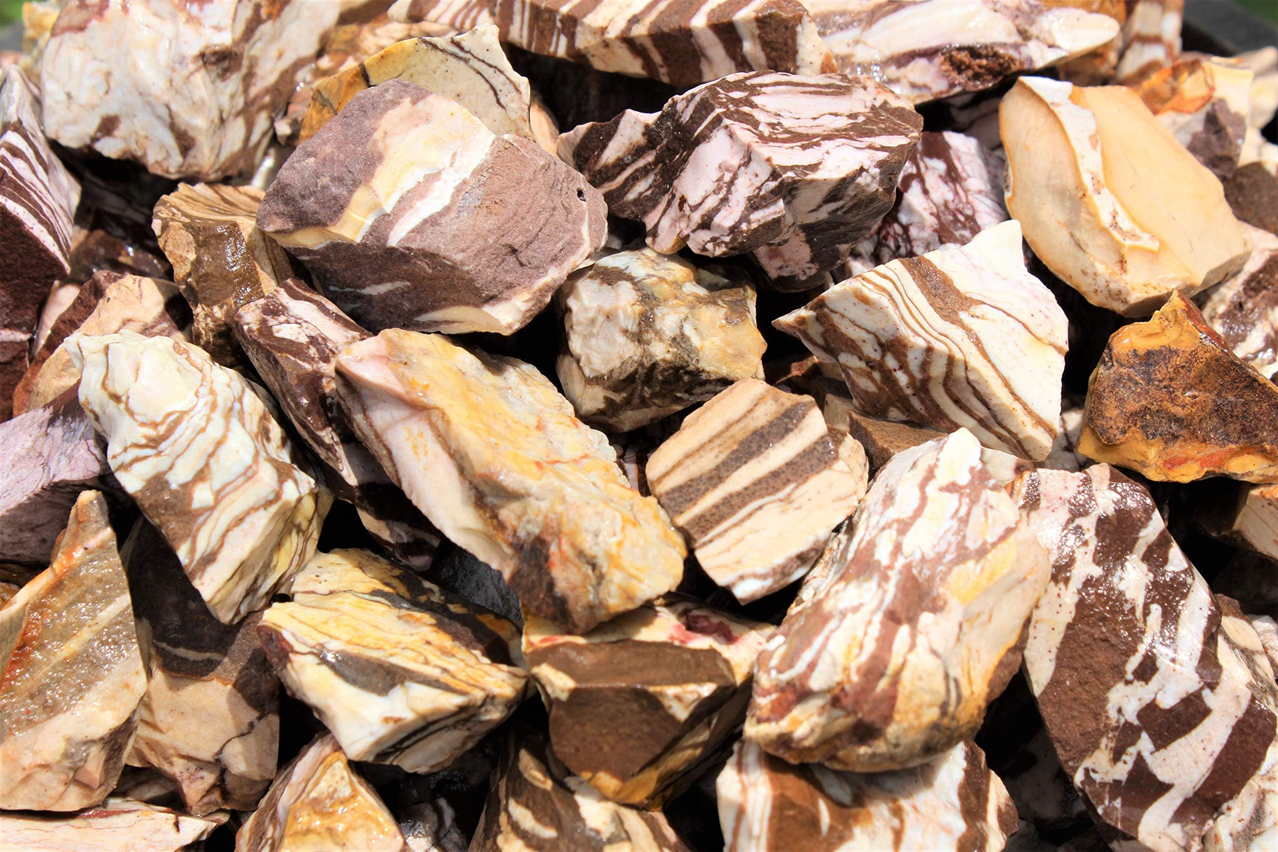Rainbowrecords239 - Natural Rough Zebra Jasper - 1/2 Lb Bulk Lots of Raw Stones, Rocks, Minerals for Tumbling, Cabbing, 8 Ounces