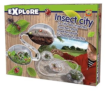 SES Explore Children's Insect City