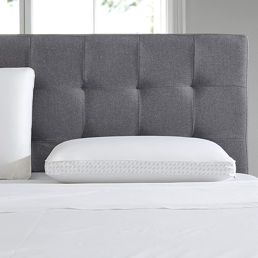 Amazon Com Sealy Essentials Memory Foam Pillow Standard Queen