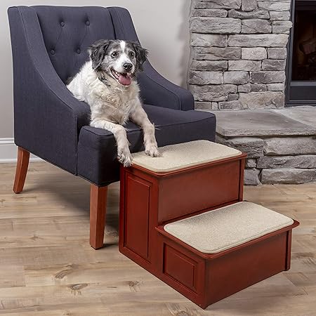 amazon steps for dogs