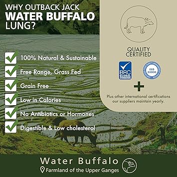 outback jack water buffalo steak