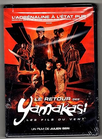le film yamakasi les fils du vent le film yamakasi les fils du vent
