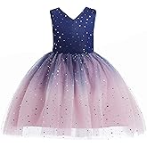 Glamulice Princess Sparkle Tulle Dress Little/Big Girls A Line Bridesmaid Wedding Birthday Party Pageant Tutu Dresses