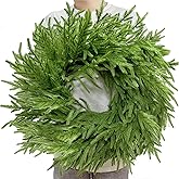 26 Inch Norfolk Pine Wreath Christmas Wreaths for Front Door Real Touch Pine Wreath Large Artificial Green Wreaths for Walls Windows Porches Farmhouse Indoor Outdoor Home Holiday Decor