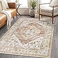 Lahome Boho Washable Living Room Area Rug 3x5 Throw Non-Slip Rugs for Bedroom Aesthetic Lightweight Thin Entry Rug Kitchen Rugs Oriental Distressed Print Capet for Office Bathroom Laundry Room