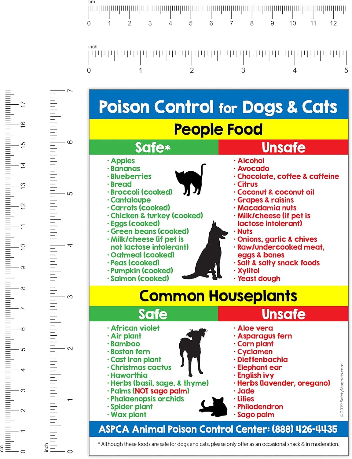 what foods are harmful to dogs
