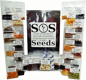 13,300+ Vegetable Seeds NON-GMO 33 Pack Variety