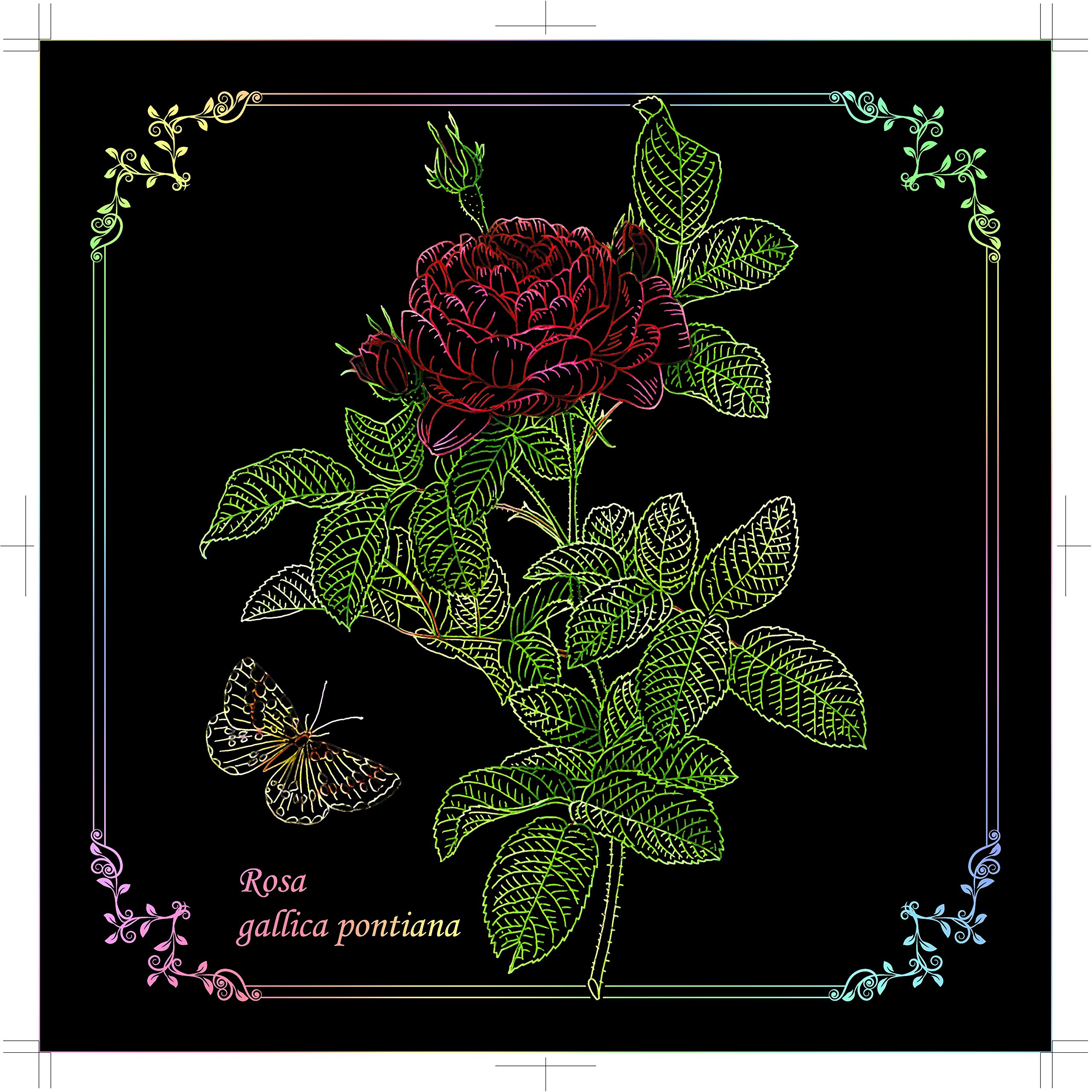 花のスクラッチアート ルドゥーテの薔薇 西本眞理子 本 通販 Amazon