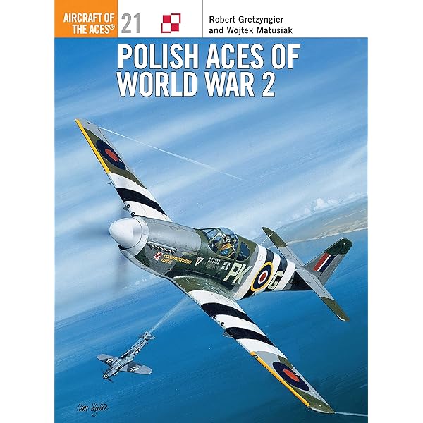 Amazon.com: Hungarian Fighter Colours Vol. 2, 1930-1945 (White