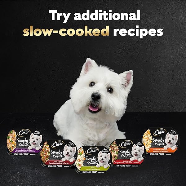 CESAR SIMPLY CRAFTED WET DOG FOOD TOPPERS FOR DRY FOOD, CHICKEN, CARROTS, POTATOES & PEAS AND CHICKEN, SWEET POTATO, APPLE, BARLEY & SPINACH MEAL TOPPER VARIETY PACK, 1.3 OZ. TUBS, 8 COUNT