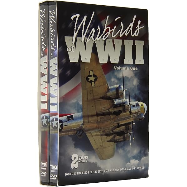 Amazon.com: WARBIRDS OF WWII CS DVD : n/a, n/a: Movies & TV