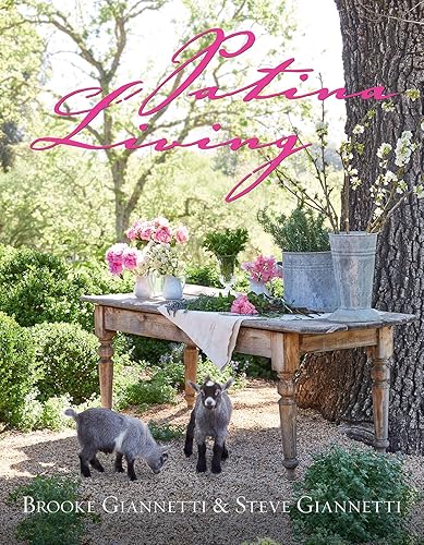 Download Patina Living PDF