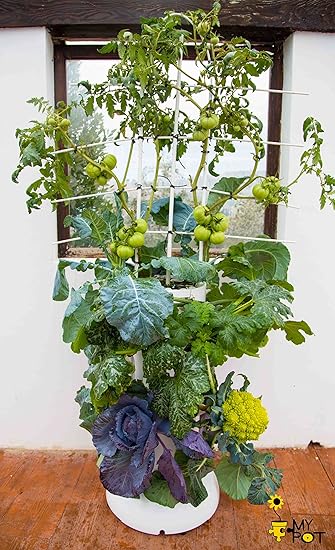 MODELO TORRE - MyPot - HUERTO VERTICAL HIDROPÓNICO AUTOMÁTICO ...
