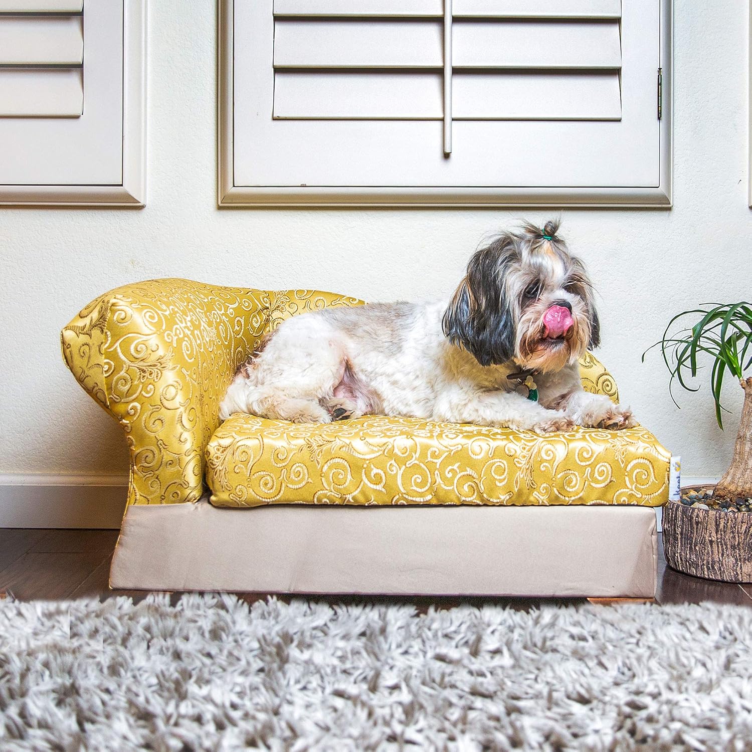 Moots Cleopatra Pet Chaise Lounge Bed Elegant Metallic Gold, Medium : Pet Supplies