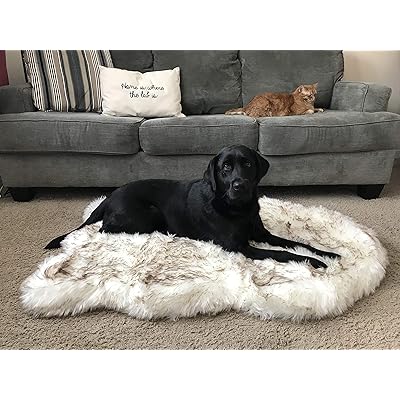 Buy Treat A Dog Puprug Faux Fur Memory Foam Orthopedic Dog Bed Premium Memory Foam Base Ultra Soft Faux Fur Cover Modern And Attractive Design Multiple Sizes Styles Online In Indonesia B07dftghpt