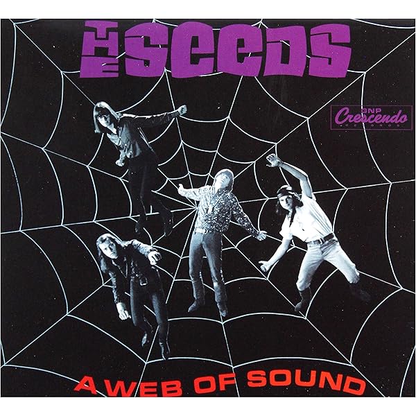 THE SEEDS & A WEB OF SOUND ガレージパンクCD シード The Seeds - 'The Seeds' (1966) - It's Psychedelic Baby Magazine