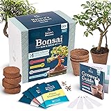 Nature's Blossom Bonsai Tree Kit - Grow 4 Types of Bonsai Trees From Seed. Indoor / Outdoor Gardening Starter Set with Tree S