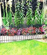 DIVCHI Cloche Net Grow Tunnel Plant Cover Black - Bird & Pest Protection view 6