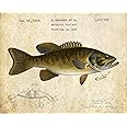 Vintage Heddon Fishing Lure Patent Print Poster 11x14 Smallmouth Bass Cabin Wall Art Decor