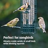 Jacobi Jayne Squirrel Buster Classic Squirrel Proof Bird Feeder 1.4L view 4