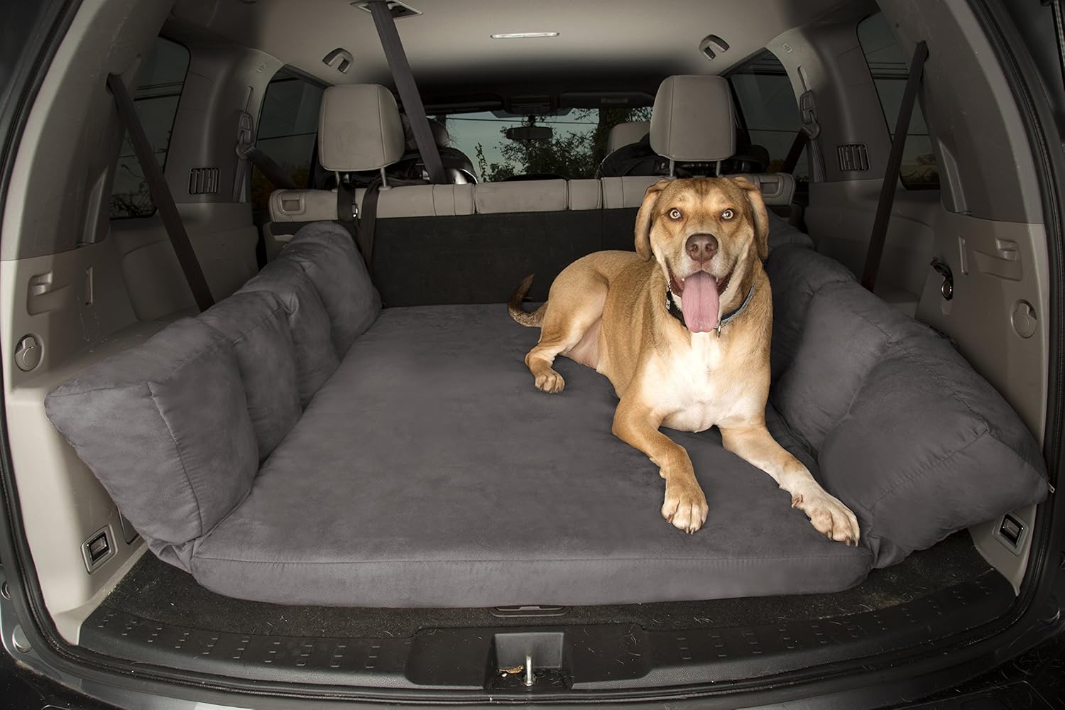 back seat dog bed